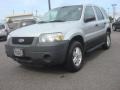 Silver Metallic 2005 Ford Escape XLS