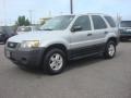 2005 Silver Metallic Ford Escape XLS  photo #2