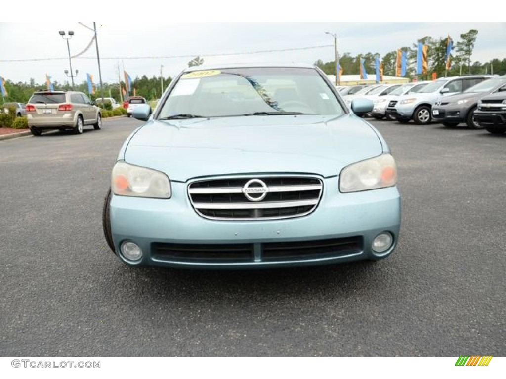 2002 Maxima GLE - Sherwood Green Pearl / Blond photo #2