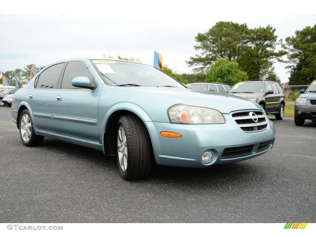 2002 Maxima GLE - Sherwood Green Pearl / Blond photo #3