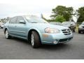 2002 Sherwood Green Pearl Nissan Maxima GLE  photo #3