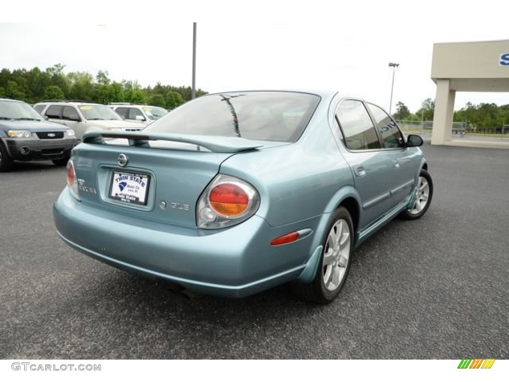 2002 Maxima GLE - Sherwood Green Pearl / Blond photo #5
