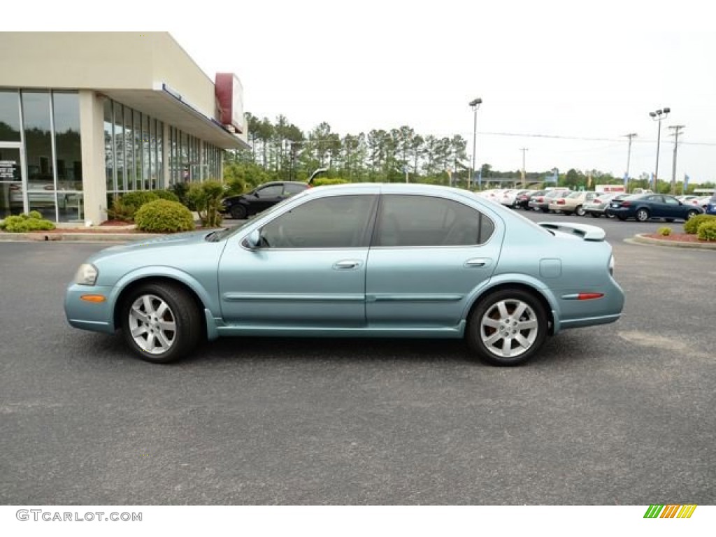 2002 Maxima GLE - Sherwood Green Pearl / Blond photo #8