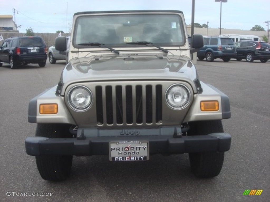 2004 Wrangler SE 4x4 - Light Khaki Metallic / Khaki photo #9