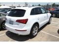 Ibis White - Q5 2.0 TFSI hybrid quattro Photo No. 4