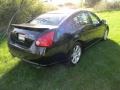 Super Black - Maxima 3.5 SE Photo No. 6