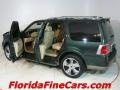 2003 Aspen Green Metallic Lincoln Navigator Luxury  photo #8