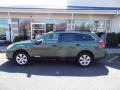 2010 Cypress Green Pearl Subaru Outback 2.5i Limited Wagon  photo #3