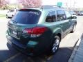 2010 Cypress Green Pearl Subaru Outback 2.5i Limited Wagon  photo #7