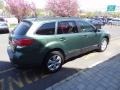 2010 Cypress Green Pearl Subaru Outback 2.5i Limited Wagon  photo #8