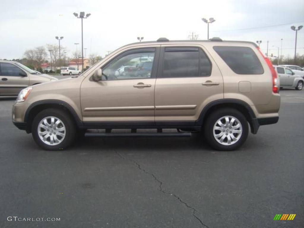 2005 CR-V Special Edition 4WD - Sahara Sand Metallic / Ivory photo #3