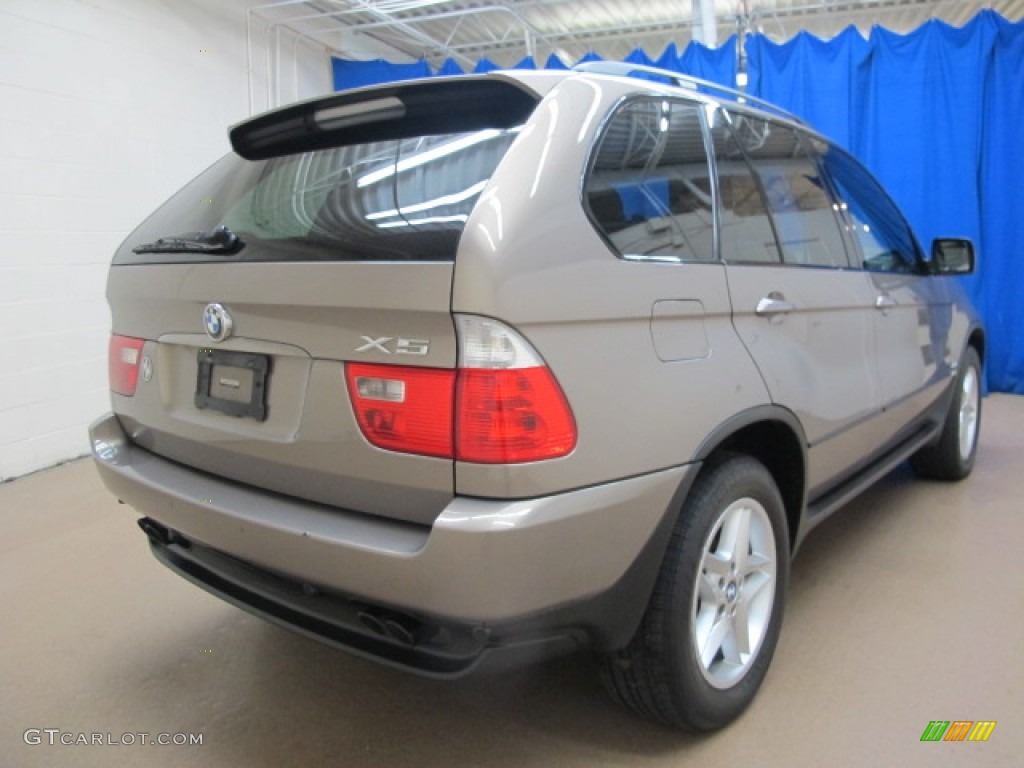 2005 X5 4.4i - Kalahari Beige Metallic / Truffle Brown photo #9