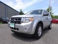 Ingot Silver Metallic 2010 Ford Escape XLT