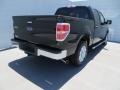 2013 Kodiak Brown Metallic Ford F150 XLT SuperCrew  photo #4