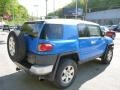 Voodoo Blue - FJ Cruiser 4WD Photo No. 13