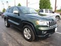 2011 Natural Green Pearl Jeep Grand Cherokee Limited 4x4  photo #2