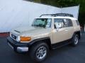 Quicksand 2011 Toyota FJ Cruiser 4WD Exterior