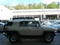Quicksand - FJ Cruiser 4WD Photo No. 10