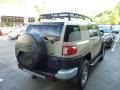 Quicksand - FJ Cruiser 4WD Photo No. 11