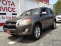 2010 Pyrite Metallic Toyota RAV4 Limited 4WD  photo #1