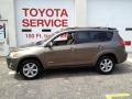 2010 Pyrite Metallic Toyota RAV4 Limited 4WD  photo #3