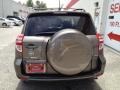 2010 Pyrite Metallic Toyota RAV4 Limited 4WD  photo #5