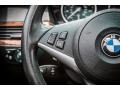 Natural Brown Controls Photo for 2008 BMW 5 Series #80775450