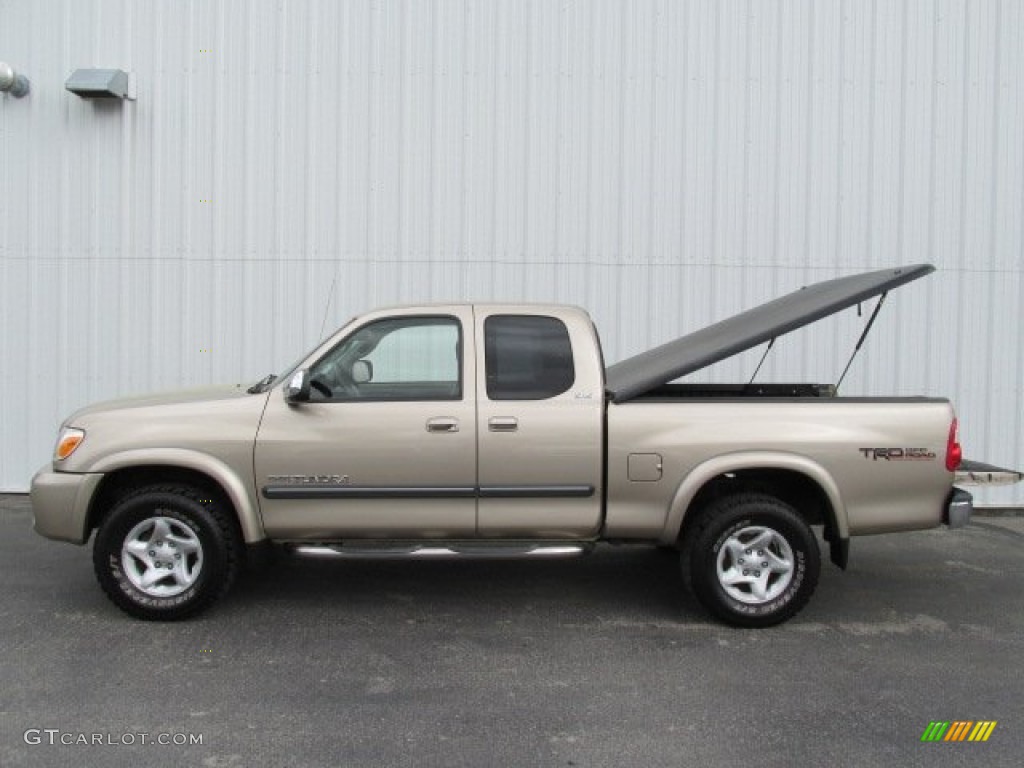 2005 Tundra SR5 Access Cab 4x4 - Desert Sand Mica / Taupe photo #3