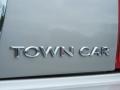 Silver Birch Metallic - Town Car Signature Limited Photo No. 9