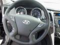 2013 Midnight Black Hyundai Sonata SE  photo #12