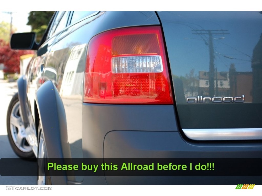 2002 Allroad 2.7T quattro - Highland Green Metallic / Fern Green/Desert Grass photo #104