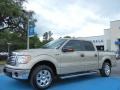 2010 Pueblo Gold Metallic Ford F150 XLT SuperCrew  photo #1