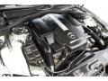 5.4 Liter AMG SOHC 24-Valve V8 Engine for 2002 Mercedes-Benz S 55 AMG #80793712