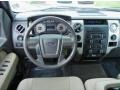 2010 Pueblo Gold Metallic Ford F150 XLT SuperCrew  photo #20