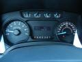 Steel Gray Gauges Photo for 2013 Ford F150 #80798781