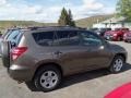 Pyrite Metallic - RAV4 I4 4WD Photo No. 6