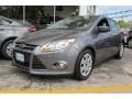 Sterling Grey Metallic - Focus SE 5-Door Photo No. 1