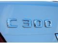 Iridium Silver Metallic - C 300 Luxury Photo No. 9