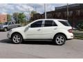 Arctic White - ML 350 4Matic Photo No. 9