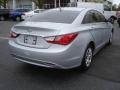 Radiant Silver - Sonata GLS Photo No. 4