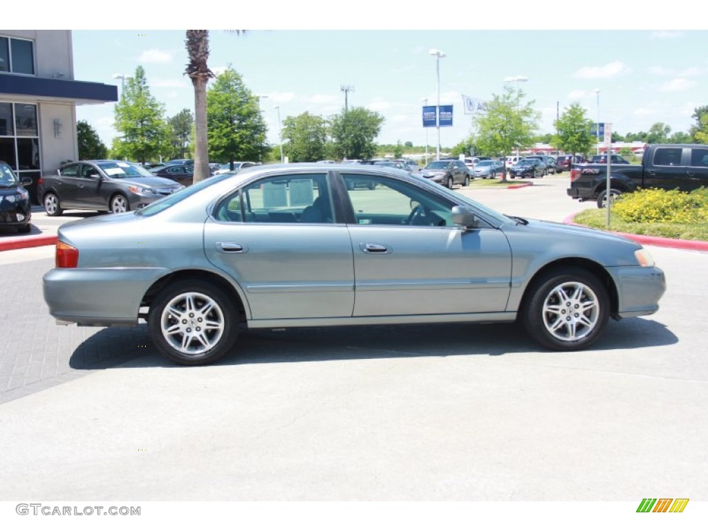 2001 TL 3.2 - Laguna Green Pearl / Gray photo #6