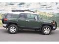 Army Green 2010 Toyota FJ Cruiser 4WD Exterior