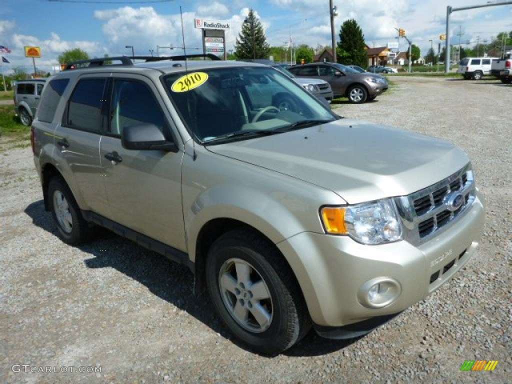 Gold Leaf Metallic 2010 Ford Escape XLT V6 Exterior Photo #80828845