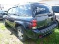 2008 Imperial Blue Metallic Chevrolet TrailBlazer LS 4x4  photo #2