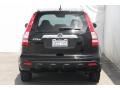 2009 Crystal Black Pearl Honda CR-V EX-L  photo #9