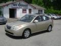 2007 Laguna Sand Beige Hyundai Elantra GLS Sedan #80838428