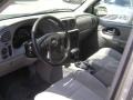 Graystone Metallic - TrailBlazer LS 4x4 Photo No. 3