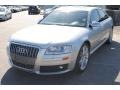 Light Silver Metallic - S8 5.2 quattro Photo No. 3