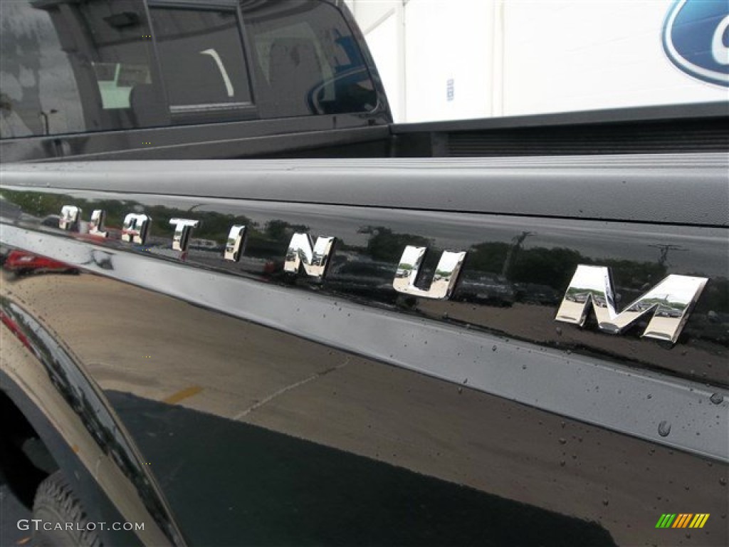 2013 Ford F250 Super Duty Platinum Crew Cab 4x4 Marks and Logos Photo #80845705