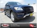 Lunar Blue Metallic - ML 350 4Matic Photo No. 1